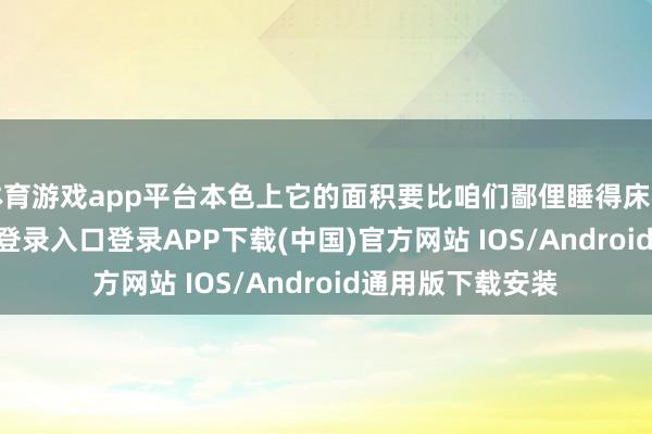 体育游戏app平台本色上它的面积要比咱们鄙俚睡得床要小-开云kaiyun登录入口登录APP下载(中国)官方网站 IOS/Android通用版下载安装