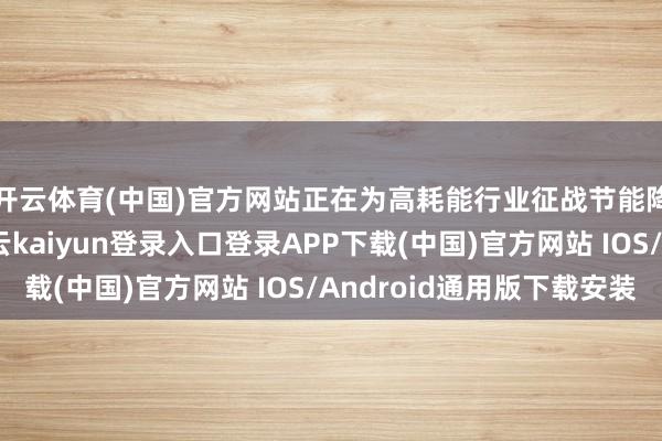 开云体育(中国)官方网站正在为高耗能行业征战节能降碳的新赛说念-开云kaiyun登录入口登录APP下载(中国)官方网站 IOS/Android通用版下载安装