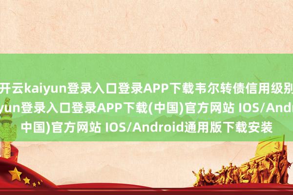 开云kaiyun登录入口登录APP下载韦尔转债信用级别为“AA+”-开云kaiyun登录入口登录APP下载(中国)官方网站 IOS/Android通用版下载安装