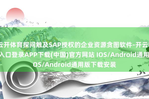 云开体育探问触及SAP授权的企业资源贪图软件-开云kaiyun登录入口登录APP下载(中国)官方网站 IOS/Android通用版下载安装